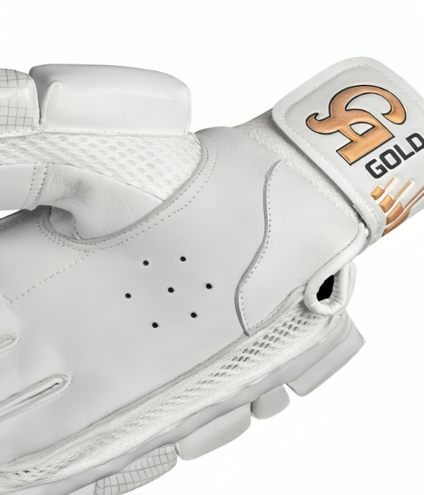 CA Cricket Batting Gloves-CA GOLD 20K 1
