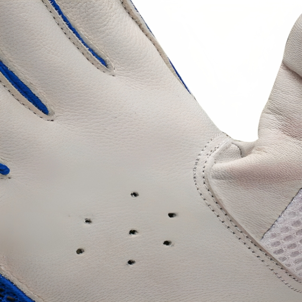 CA Cricket Batting Gloves-CA PLUS 2000 3