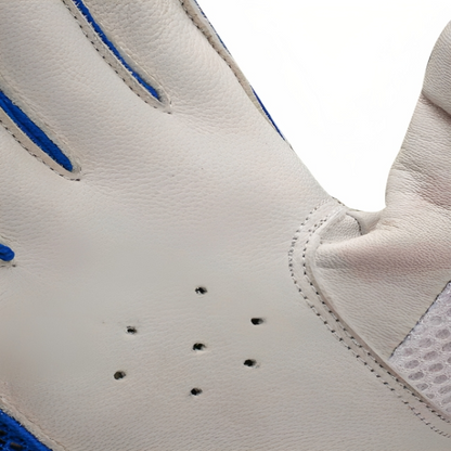CA Cricket Batting Gloves-CA PLUS 2000 3