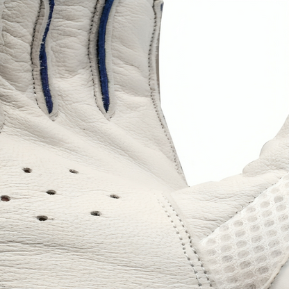 CA Cricket Batting Gloves-CA PLUS 3000 4