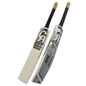 v 1